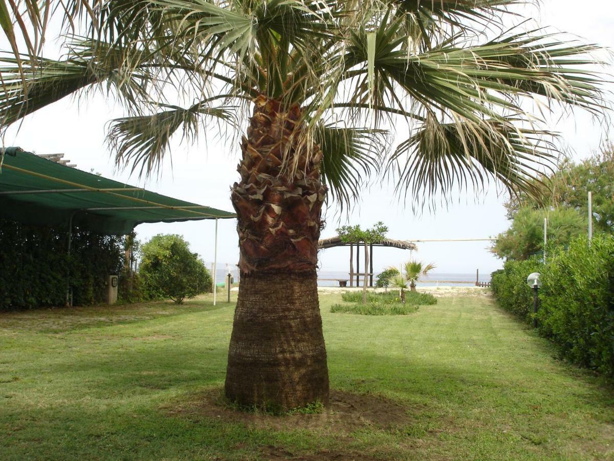 Villetta Sul Mare Капо-Ватикано Экстерьер фото